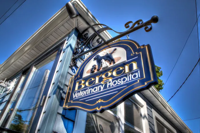 Bergen Veterinary Hospital 12