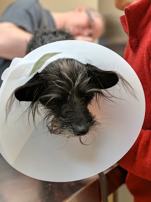 Bergen Veterinary Hospital 12