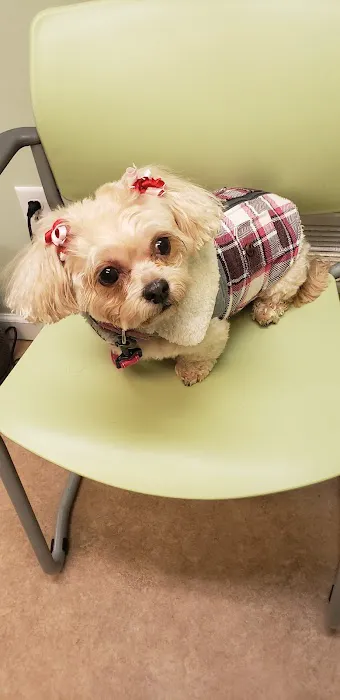 Bergen Veterinary Hospital 12
