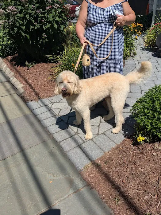 Bergen Veterinary Hospital 12