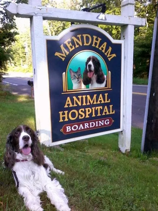 Mendham Animal Hospital 12
