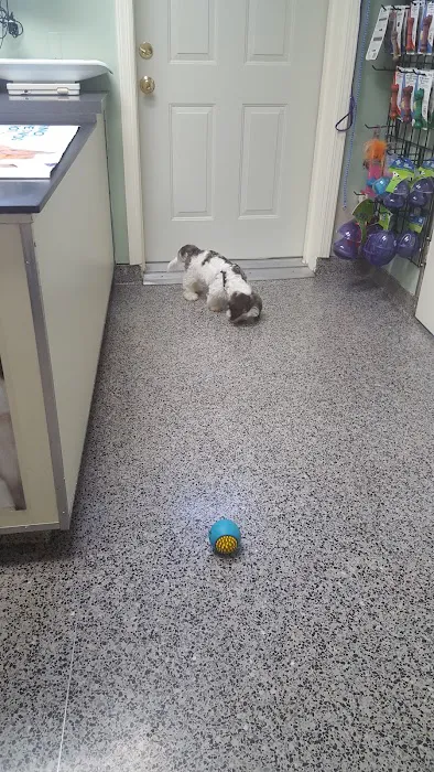 Bernardsville Animal Hospital 12