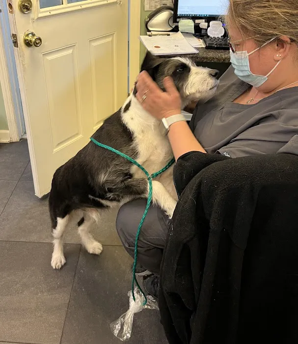 Bernardsville Animal Hospital 12