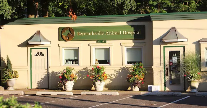 Bernardsville Animal Hospital 12