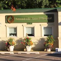 Bernardsville Animal Hospital ico