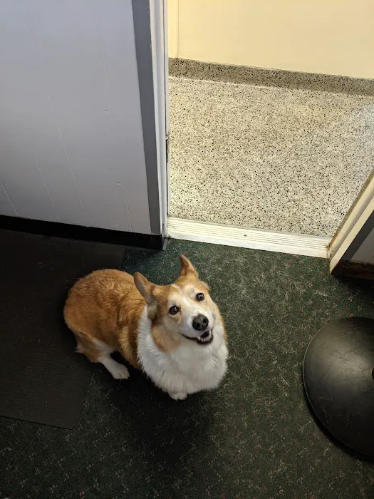 Bernardsville Animal Hospital 12