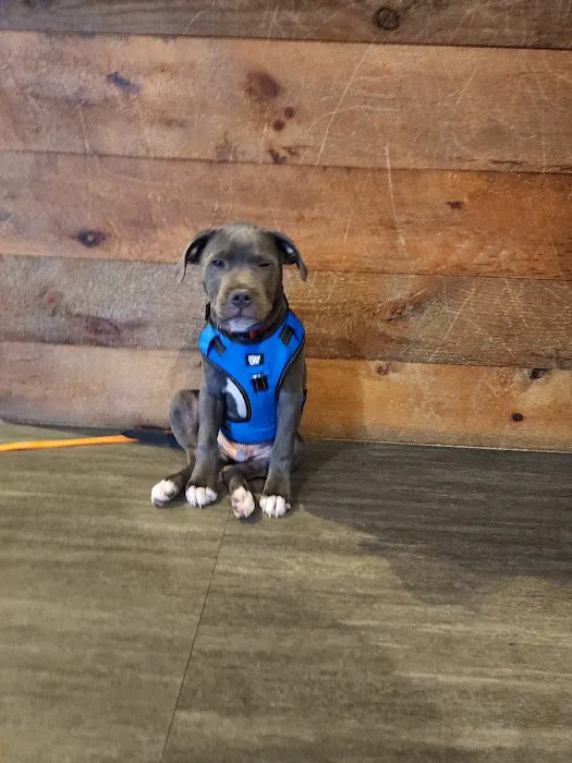 Black River Veterinary Hospital 12