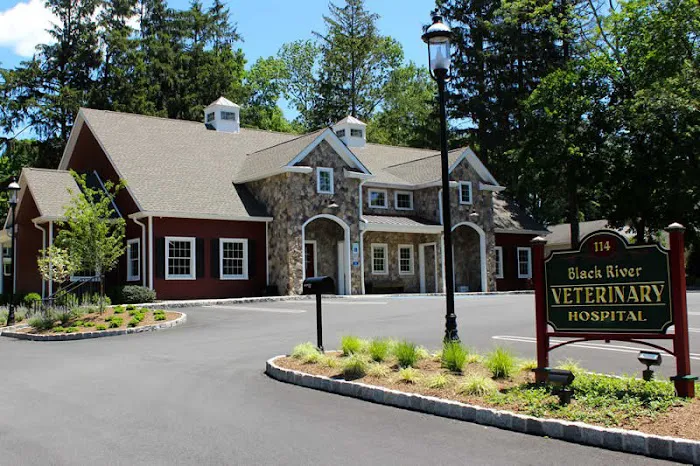 Black River Veterinary Hospital 12