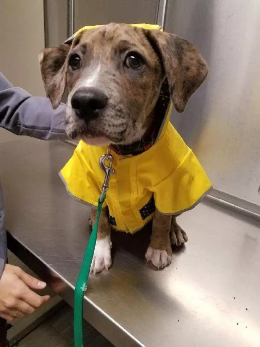 Black River Veterinary Hospital 12