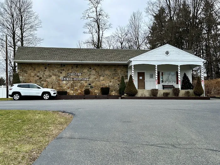 Chester Animal Hospital 12
