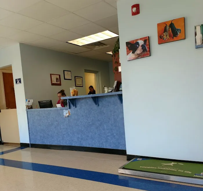 Westfield Animal Hospital 12