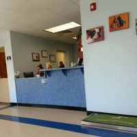 Westfield Animal Hospital ico