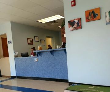 Westfield Animal Hospital