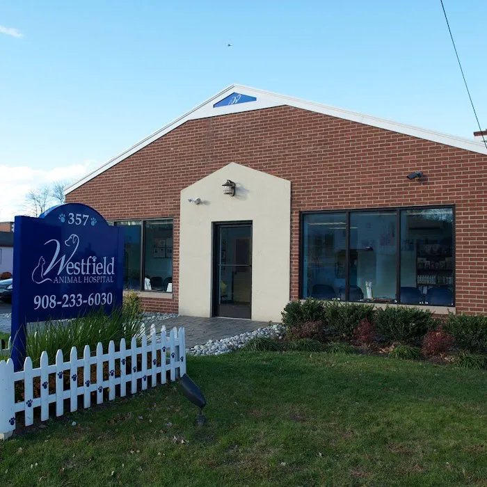 Westfield Animal Hospital 12