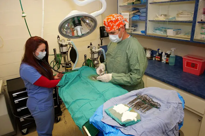 Westfield Animal Hospital 12