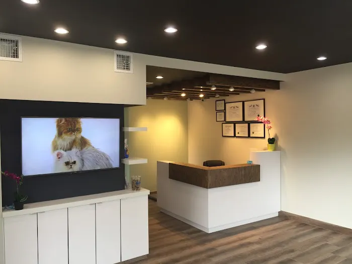 Cranford Animal Hospital 12