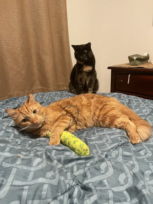 Cranford Animal Hospital 12