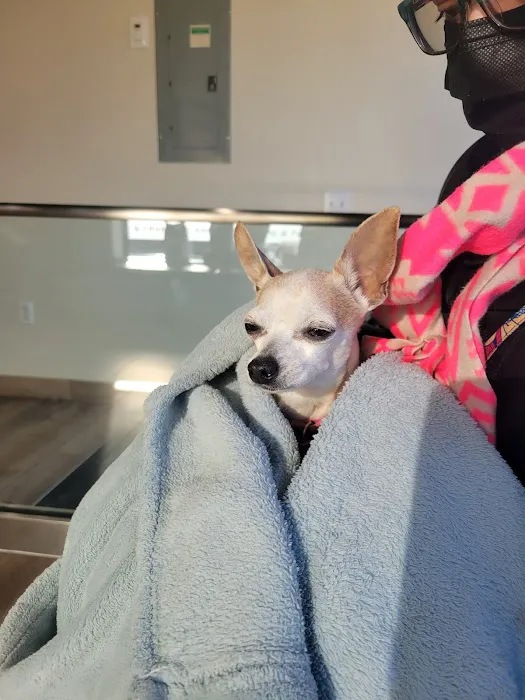 Cranford Animal Hospital 12