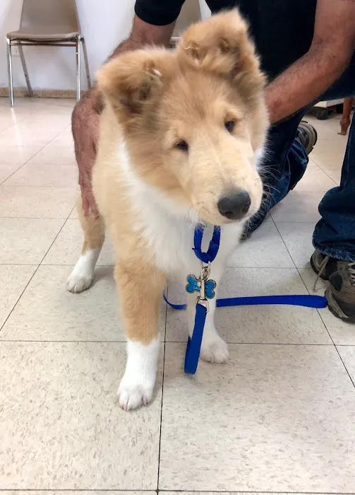 Boulevard Veterinary Clinic 10