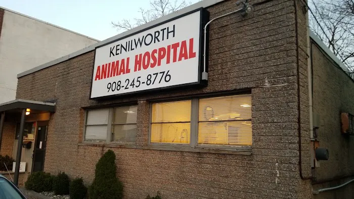 Kenilworth Animal Hospital 12