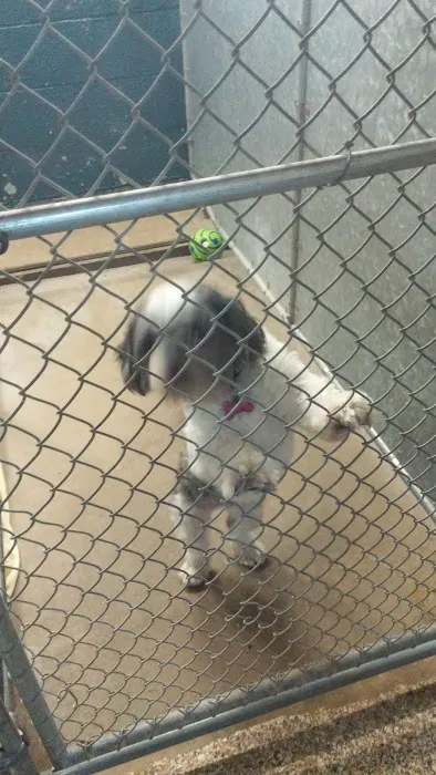 Lexington Animal Hospital 5