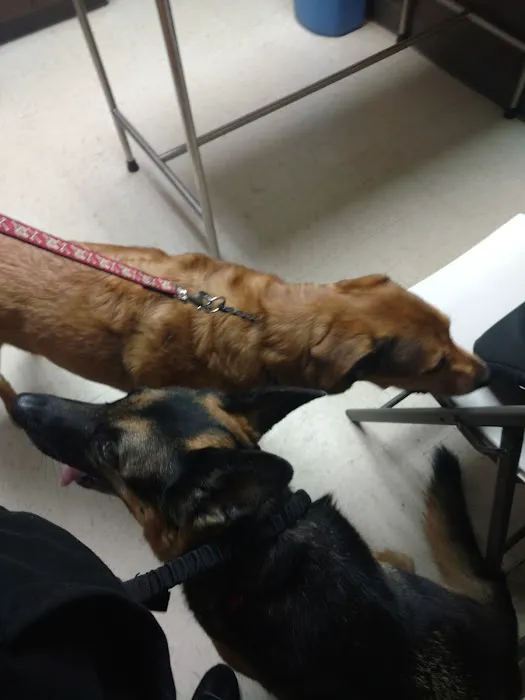Lexington Animal Hospital 2