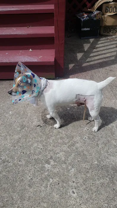 Village Animal Clinic, LLC 12