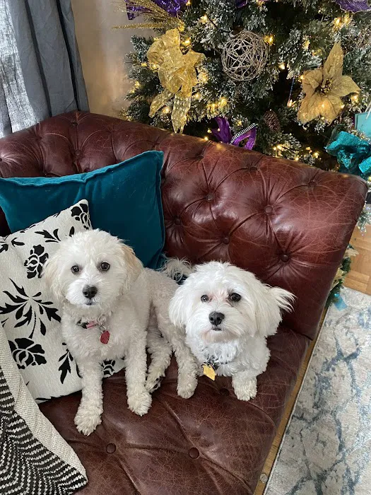 Village Animal Clinic, LLC 12