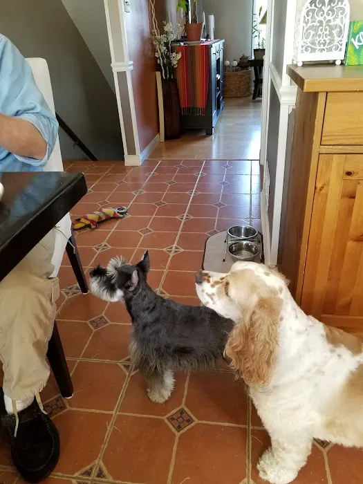 Village Animal Clinic, LLC 12