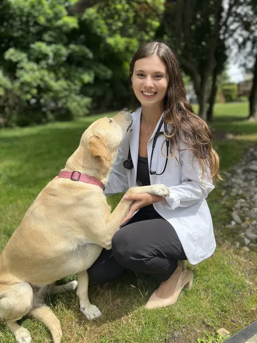 Andover Animal Hospital 5