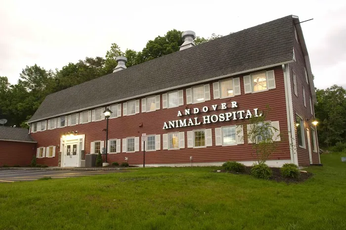 Andover Animal Hospital 3