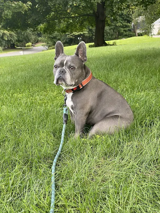 Andover Animal Hospital 8
