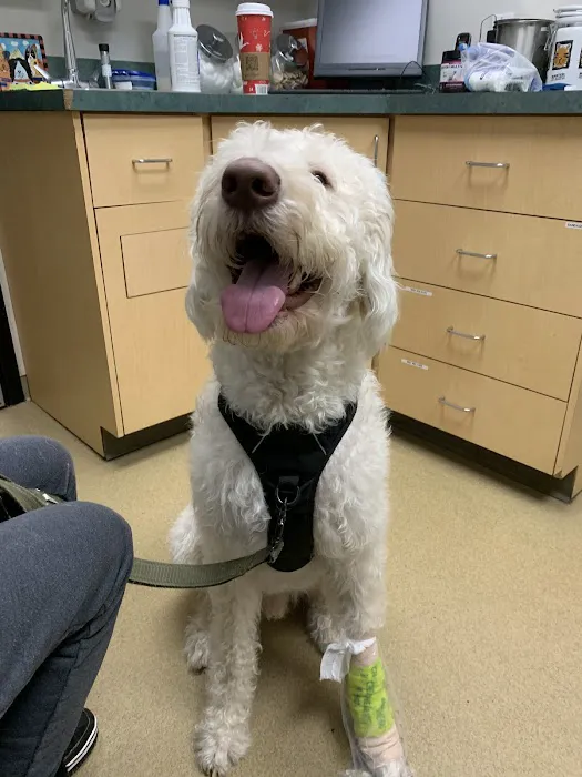 Newton Veterinary Hospital 7