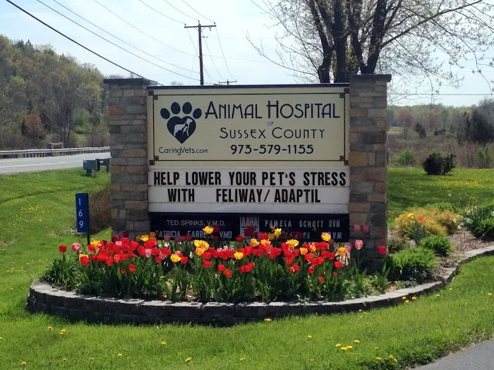 Animal Hospital of Sussex County 10