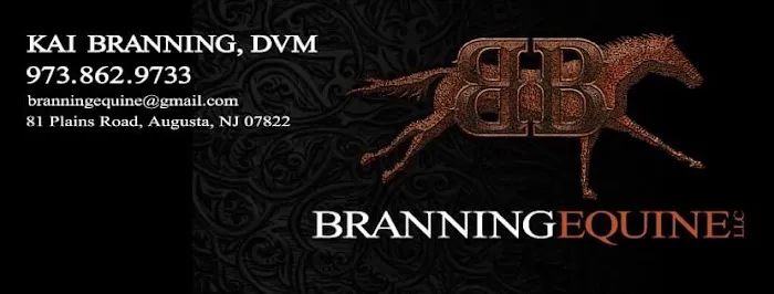 Branning Equine 12
