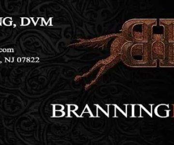 Branning Equine