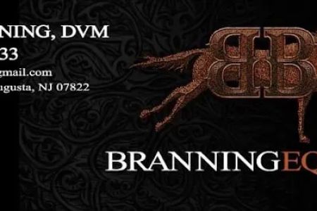 Branning Equine