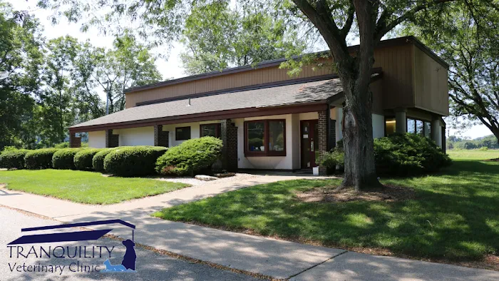 Tranquility Veterinary Clinic 10