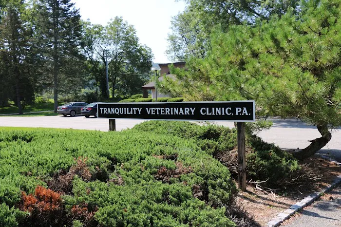 Tranquility Veterinary Clinic 9