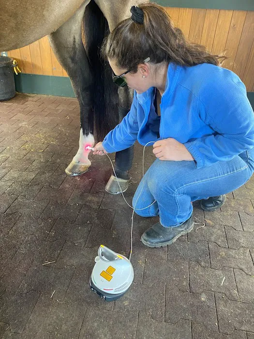 Mountain Pointe Equine Vet Services 12