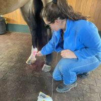 Mountain Pointe Equine Vet Services ico