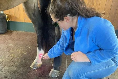 Mountain Pointe Equine Vet Services