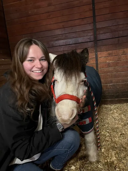 Mountain Pointe Equine Vet Services 12