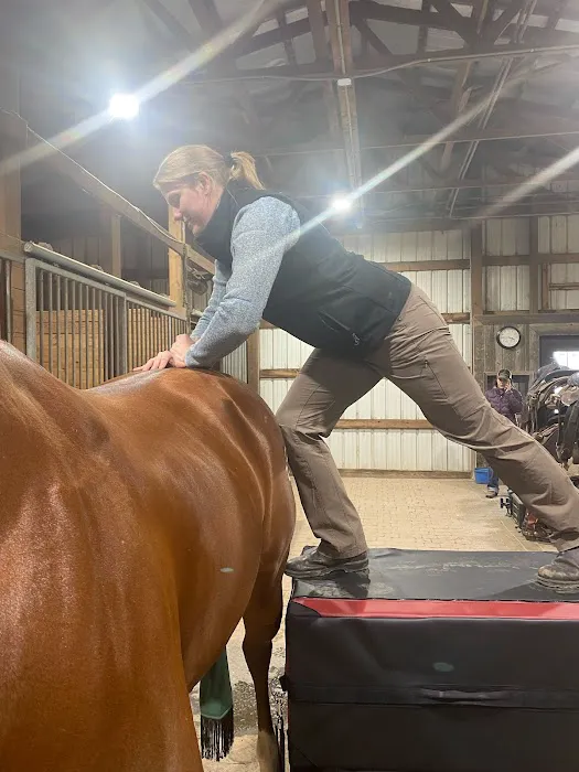 Mountain Pointe Equine Vet Services 12