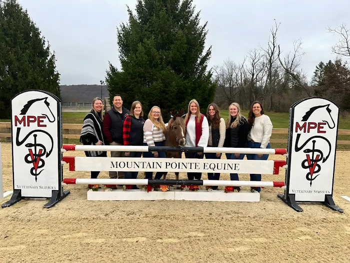 Mountain Pointe Equine Vet Services 12