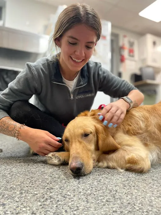 Budd Lake Animal Hospital 12