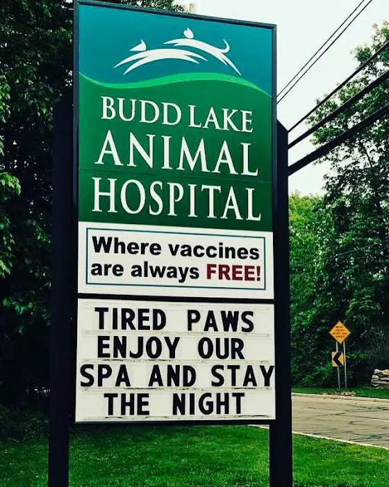 Budd Lake Animal Hospital 12