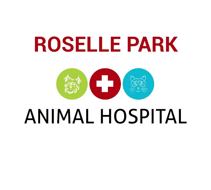 Roselle Park Animal Hospital 7