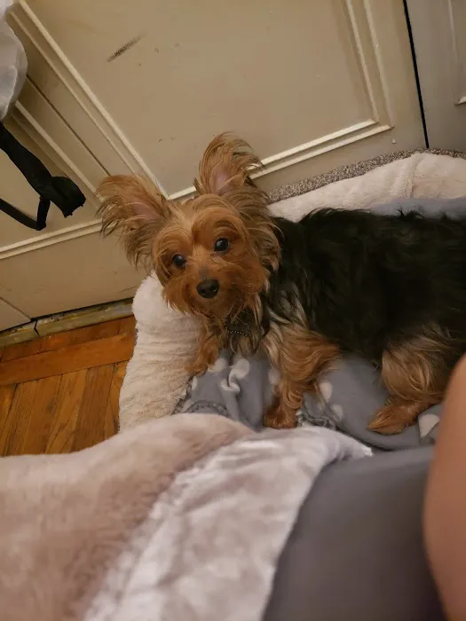 Roselle Park Animal Hospital 3