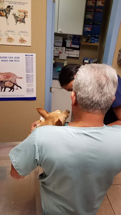Roselle Park Animal Hospital 5